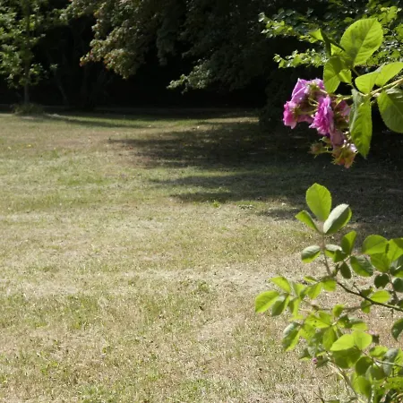 فيلة Scappo In Umbria, Casale Nicoletta Collicello